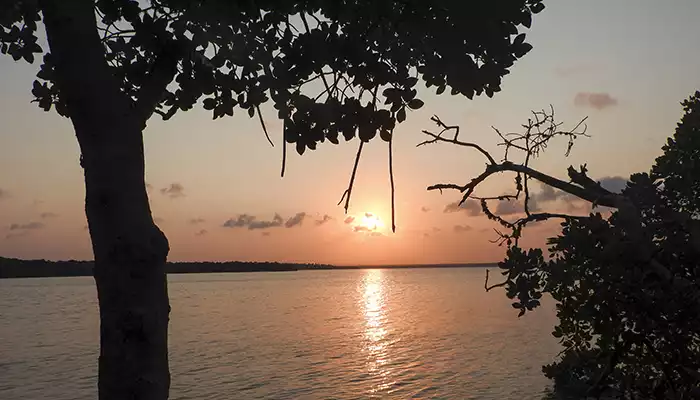 Mida Creek