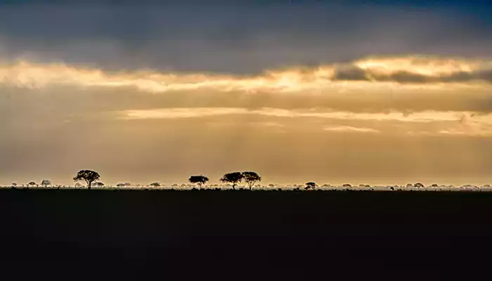 parchi del kenya