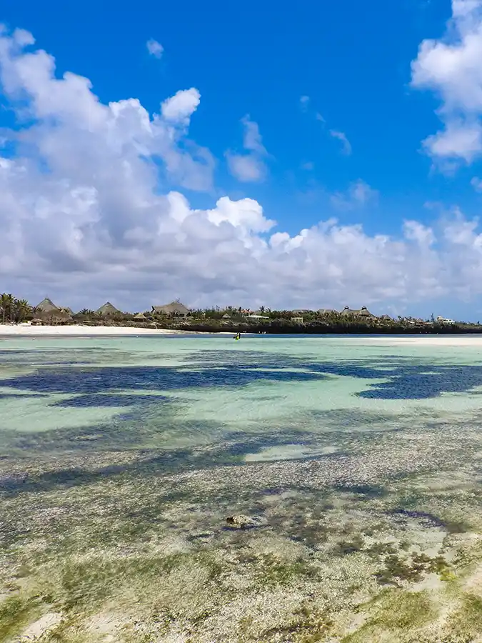 Ocean Breeze - Watamu
