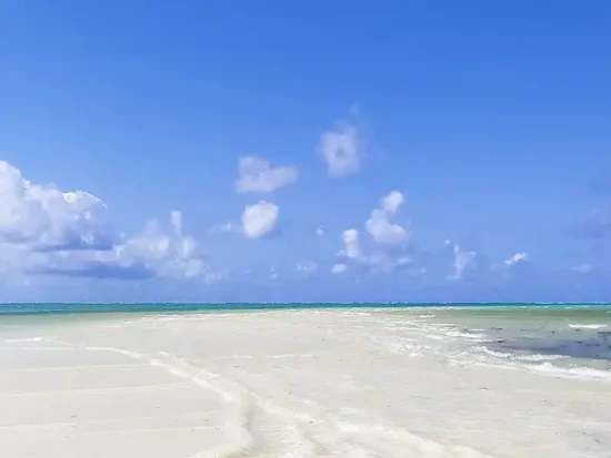spiaggia Jacaranda