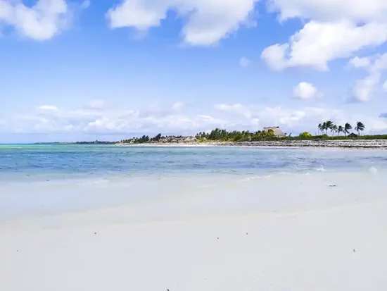 Jacaranda Beach