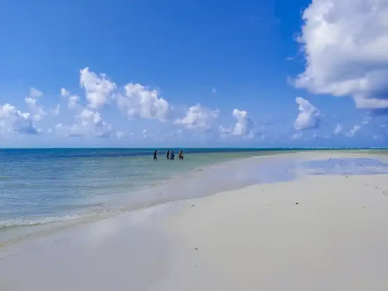 Jacaranda Beach