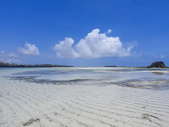 fortamu watamu