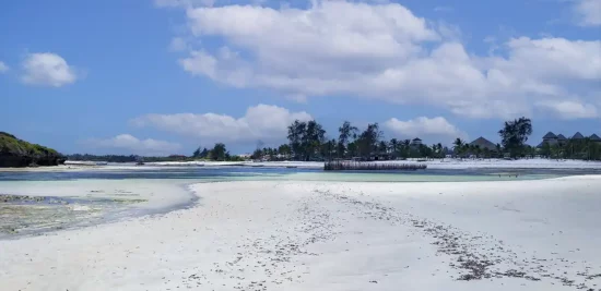 fortamu watamu