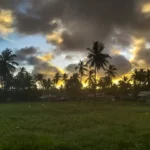 Kenya a maggio e giugno